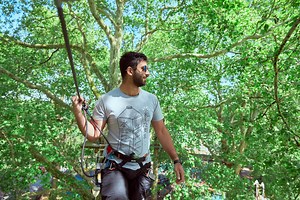 Go Ape Bedgebury | Forest Adventures & High Ropes in Kent