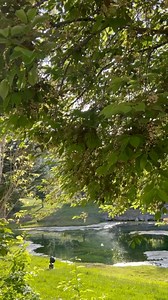 1.3K views | Summer vibes • • #zermattresortutah #midwayutah #utahsummer | Zermatt Utah Resort & Spa | Facebook