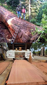 A little before and after footage of Dad and Jason salvaging this old growth windfallen Giant Sequoia Redwood and then milling it on the #WM1000 sawmill. . . #OldGrowthSequoia #Sawmill #SawmillBusiness #WoodMizer #WoodMizerCalifornia #SawMillsite #farwestforestproducts #woodslabs #WideSlabs #beforeandafter #RedwoodSlabs #Slaburday #SlabBuilt #familybusiness | Far West Forest Products; Wood-Mizer California