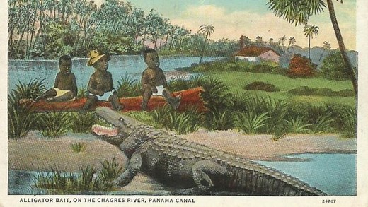 The gut-wrenching history of black babies and alligators - Andscape