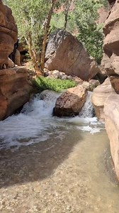 🐞🐞🐞 Lots of lady bugs enjoying the patio at Deer Creek Falls . . . . #deercreekfalls #deercreek #grandcanyon #grandcanyonnationalpark #rivertrip #scenicview #waterfall #ladybug #ladybugs #desert #camping #swimminghole #bestvacations #vacations #familyvacation #rafting #westernriver #westernriverexpeditions #asmrwatersounds #asmr | Western River Expeditions