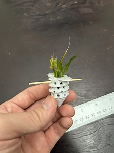 Aquarium Plant Anchor - 1.5 IN (10 Pack) - Etsy