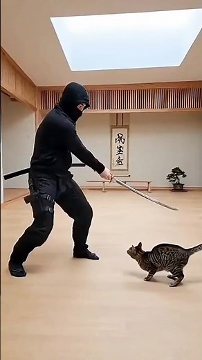 Ninja Cat Training Session – Beginner Level – Caught on Camera! 🐱🥷
