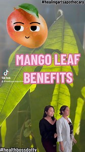 Get your Mango Leaf Extract here! Benefits: Fatty Live • High blood Pressure • High Cholesterol • Improves Sugar Levels • Obesity • Immure Support • Cancer #HealthBossTV #HealingArtsApothecary #Healingartsme #Healthbosstv #Health #BeYourOwnHealthBoss #Liver #LiverCleanse #Mango #Mangoleaf #Weightloss | Healing Arts | Facebook