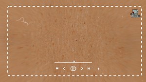 You always stood in stark contrast to nature. Chad tara shurjo - Miles - rihi | Bangla Band Music Playlist