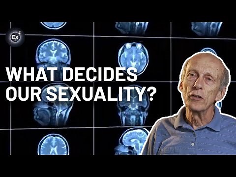 Can science explain our sexual orientation? | Experts Explain