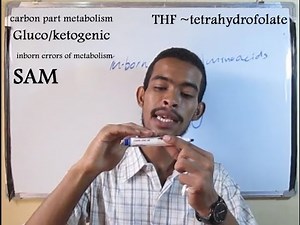 the last part in aminoacids metabolism/carbon part اخر جزء في ايض وتكسير البروتينات
