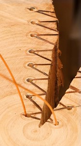 Brilliant Log Gap Repair | Hungry Panda