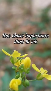 23K views · 452 reactions | Une chose importante de nos vies .. | Pensées Positives | Facebook