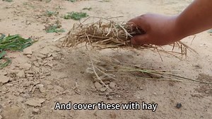 2Packs Ferro Rod Fire Starter for Camping, Ferrocerium Flint and Striker Survival Kit