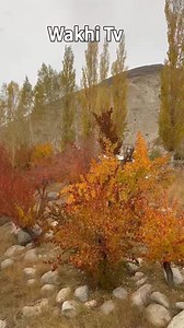 The Wakhan Corridor, Badakhshan, and the Pamir Mountains are significant geographical and cultural regions in Central Asia, particularly in Afghanistan and surrounding countries. ### Wakhan Corridor The Wakhan Corridor is a narrow strip of land in northeastern Afghanistan that separates Tajikistan to the north from Pakistan to the south. It is about 350 kilometers long and varies in width, at its narrowest point being just 13 kilometers. The corridor is named after the Wakhi people, who inhabit 