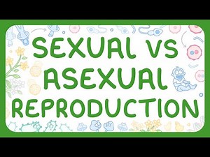 Asexual vs Sexual Reproduction (Middle School Science)