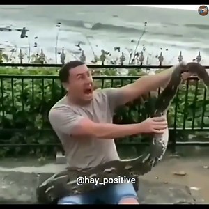 The Crooked Crow on Reels