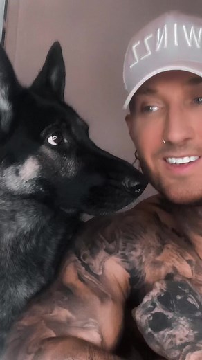 Funny Dog Interrupts TikTok Videos