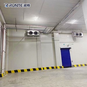 [Hot Item] Runte Brand Walk in Cooler Standard Industrial Negative Low Temperature Cold Room Freezer