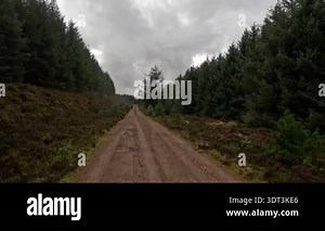 Woodland terrain on Hartside Hill in Scottish Borders region featuring trees, slopes, ditches and natural scenery