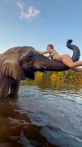 My beautiful 9,000 pound friend🐘🌊✨ • • • #elephant #notpets #conservation #conservationist #myrtlebeachsafari #elephants #elephantlove #exoticanimals #Elephantidae #animals #animalsaddict #animallover #cuteanimals #funnyanimals #riolilly #rioandbubbles #cuteanimal #myrtlebeach #explorepage #elephantswim #swim #bikini | Rio Lilly