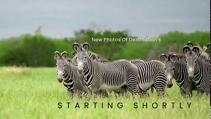 Get ready for a breathtaking journey to an undiscovered paradise! Subscribe our YouTube channel👇 https://youtube.com/@VisitOromia #visitOromia #landofdiversebeauty #LandOfOrigins #wildlife #nationalpark #Birds #Ethiopia #discover | Visit Oromia