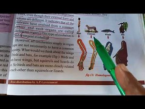 Biology, HOMOLOGOUS AND ANALOGOUS ORGANS