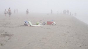3.4K views · 45 reactions | This sneaky seagull has been spotted stealing food... | Storytrender | Facebook