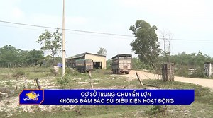 2.3K views · 42 reactions | Từ năm 2021 đến nay, cơ sở trung chuyển...