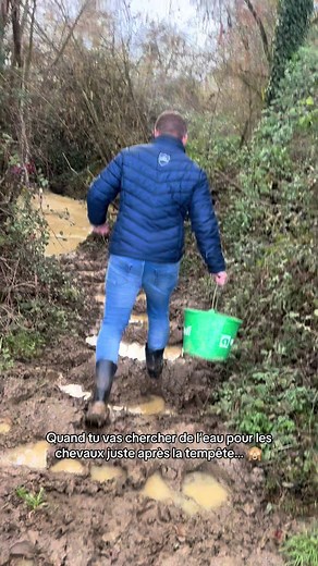 Cascadeur de l’extrême : Aventure équestre après tempête