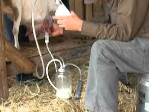 Dansha Farms Battery Powered Vacuum Milking Machine