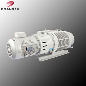 [Hot Item] Food Industry Roots Vacuum Pumps