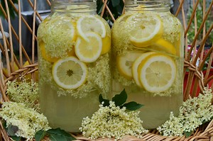 Limonadă de casă cu flori de soc. Băutura răcoritoare din vremea bunicii - Rețete și Vedete