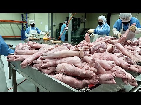 Incredible Korean Factory Mass Production Technology and Manufacturing Process