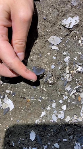 Finding a fossilized GW 🦈❤️ #sharks #fossils #sharkteeth #nature #reelsviralシ | Maddy Theresa