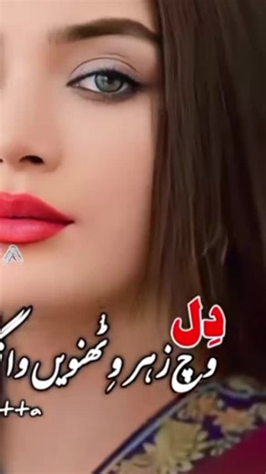 Understanding the Role of Animawriter in Storytelling