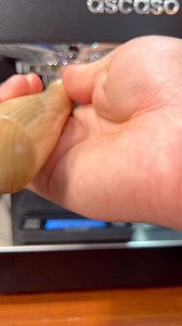 Watch Espresso ASMR - The Brewista Smart Scale II has always been my go-to espresso scale #coffeemaking on Amazon Live