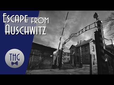 Escape from Auschwitz