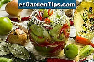 Как да се грижим за азиатска лилия 🌱 Съвети Градинари - Bg.ezGardenTips.com