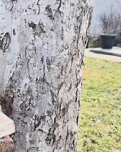 28K views · 32 reactions | Nut Method for Perfect Drilling | The Sport Dealer | Facebook