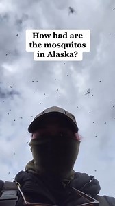 Are the Alaskan views worth all the mosquitos? Best response wins a SHRED-ER Starter Kit! (USA ONLY!) (WINNERS SELECTED 11/10/23) (via: sharingalaska/TTK) #alaska #mosquitos #gross #bugasalt #notarealgun #pestcontrol #fireyourflyswatter | Bug-A-Salt