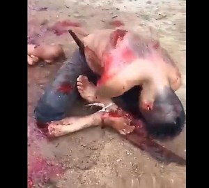 2022 gore video - Guy dismembered by cartel and left dying - XGore - Extreme Gore Videos