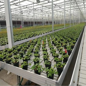 [Hot Item] China Manufacturer Hydroponics System Movable Grow Rack Vertical Double Deck Shelves
