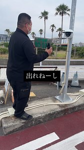 入口でナンバー承認しましたって出たのに出口でナンバー読み取ってくれないから外してカメラに見せつける先輩🤣 #イカつい #意外とお茶目 #最近噂の熊 #トイプードル #トイプードルのいる暮らし