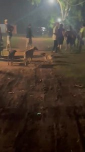 381K views · 6.6K reactions | Ipu garrote en Hernandarias En medio de "urrratatata" hubo enfrentamiento en Hernandarias y derivó en detención de un hombre | Portal Web de Noticias | Facebook