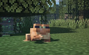 5 best mods for Minecraft 1.19 update