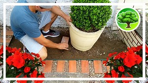 24K views · 849 reactions | CONSTRUINDO UM PEQUENO JARDIM | Refúgio Green | Facebook