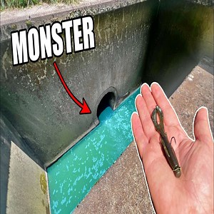Sewer Drain Fishing for Monster Fish!🤯😲 #fishing #creekfishing #bassfishing | 5050 Fishing