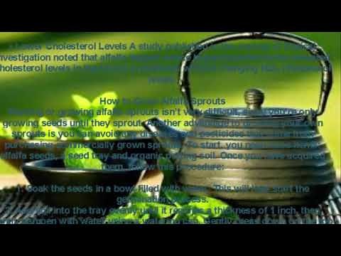 Alfalfa ( Medicago Sativa, Lucerne ) - How to use Alfalfa and its benefits