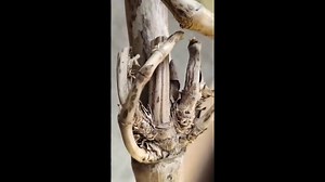 Paul Hendrawan on Reels