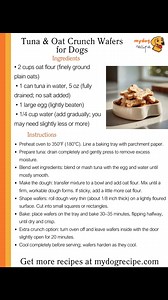 3.3K views · 11 reactions | If your dog loves loud crunches, this is for you. Agree? | Homemade Dog Food Recipes | Facebook