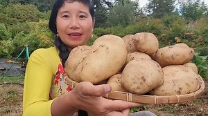 111K views · 1.7K reactions | Nhung Ha Cuoc Song My on Reels | Facebook