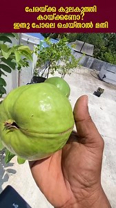 Part 5 | Jaivakeralam