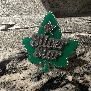 Ivy Leaf | Silver Star | Sorority Pin | Embellished | Green and Silver - Etsy
